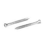 Pan Head Stainless Steel Oval Torx Deck Screw for Fast and Affordable Installati
