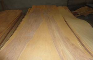 China Natural Rotary Cut Birch Veneer Sheet , Yellow rotary cut plywood factory