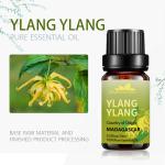 Yellow Body Essential Oils Perfume USDA 25kg Pure Ylang Ylang Essential Oil Skin