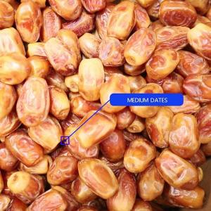 Advanced Sorting Precision 2.0 Tons Capacity 8-Lane Palm Dates Sorting Machine