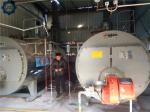 4 T/H Industrial Gas Oil Fired Container Steam Boilers Prices For Pharmaceutical