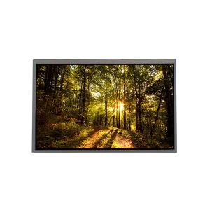 China GV101WXM-N10 800*1280 10.1 inch 16.7M 0%NTSC LCD Screen for BOE factory