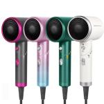 DC Motor 1600W Household Hair Dryer Negative Ion Hair Care
