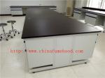3750 mm Protecting Corrosion / Acid / alkali Steel Wood Lab Furniture / Science