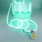 Flexible Led Neon Light Rgb for Outdoor Waterproof 220v 10*20 Lighting Sign
