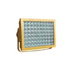 265V 200w Luminous Flux 10000LM CFT3 Explosion Proof Flood Light