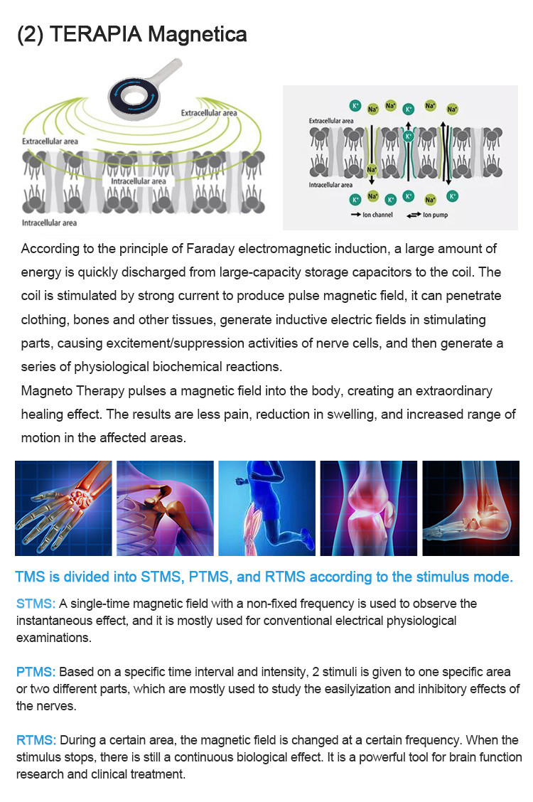 Laser Body Fat Melting Machine Slimming Electromagnetic Therapy Machine