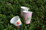 SIngle Wall Paper Cups 8oz/12oz/16oz