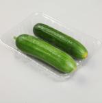 4.5cm Disposable Veggie Tray