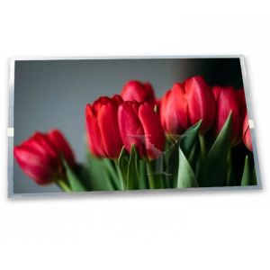 China High Quality ODM 5.1-Inch WLED LCD Display Module LMG7420PLFC-X with 240*128 Resolution New Compatible LCD Modules factory