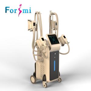 China Offer mini handle top work together 4 heads vacuum cryolipolysis fat reduction device factory