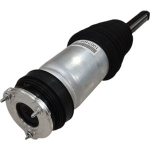 China Tesla Model S 2016-2019 Rear Air Spring Strut Shock Absorber RWD 1067466-00-C 102746100G factory