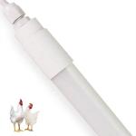 Dimmable LED Poultry Light 9W-25W, 50000 Hours, 120-160LM/W, 180degree, IP65/67