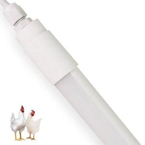 China Harsh Environments LED Poultry Lighting with Flicker Free 2700-3200K CRI 90 5 Years Warranty factory