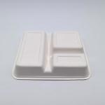 Square Lunch Biodegradable Sugarcane Bagasse Plates 3 Compartment