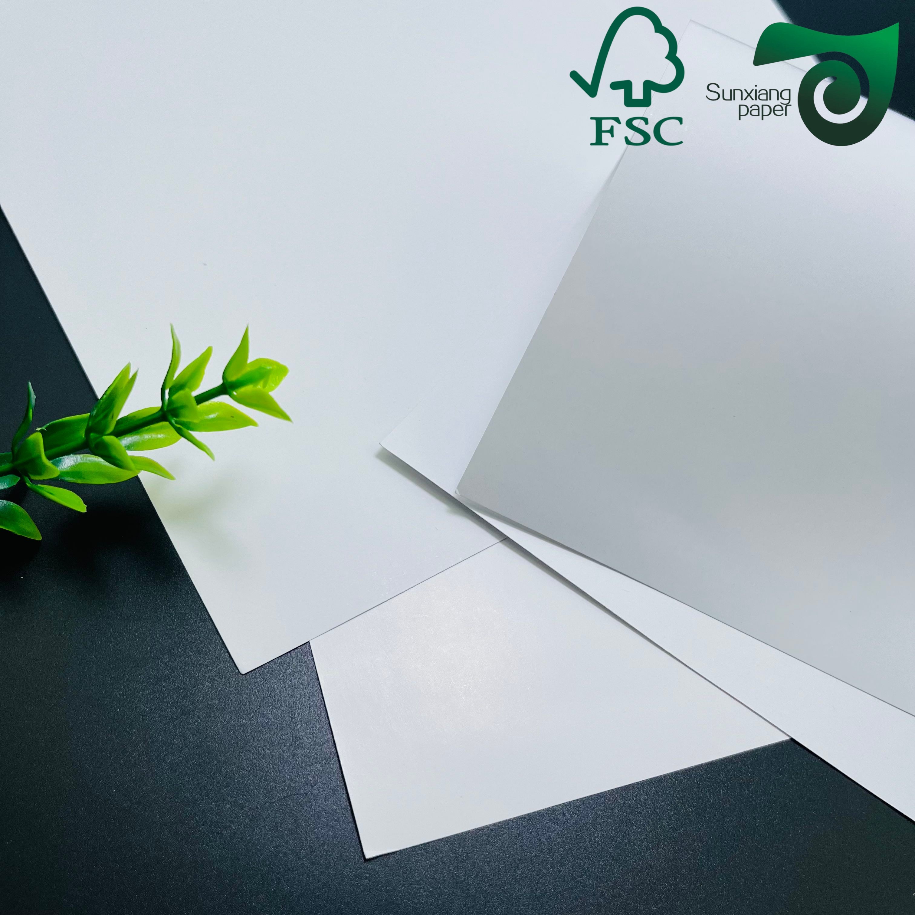 Double Side Glossy Matte Coated Paper FSC 170gsm 180gsm 200gsm Ideal For Color Prints