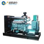 8KW Portable Generators Electric Generators Biogas/Natural Gas/LPG Generator
