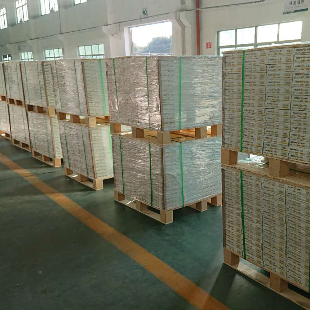 Customized 12"x24" SPC Flooring 7.2''x48'' Click LVT Flooring Tiles 0.7mm Wear Layer