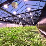 Humidity 50-70% Light Dep System Hoop House Herb Growing Side Ventiltaion