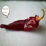 Granule Dried Guajillo Chili Single Herb Dehydrated Spicy Red Paprika
