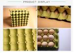 Paper Egg Tray Production Line, Egg Carton Making Machine, mold made to customer