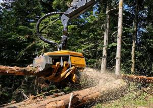 China Large Tree Harvesters Excavator Tree Cutter For Forest Farm factory