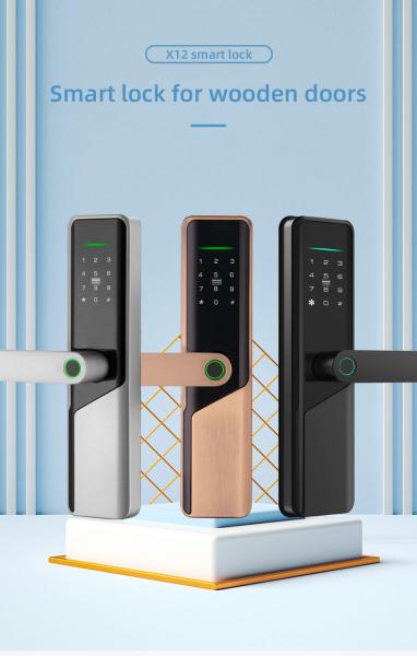 Electric Digital Smart Volibel Aluminum Alloy Rfid Card Password Code Door Lock