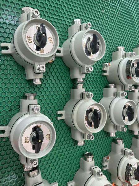 Corrosion Resistant Explosion Proof Switch for Chemical Plant Cable Spec 9mm