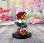 OEM Perfect Valentines Day Gifts Multiple Colours Preserved Everlasting Real
