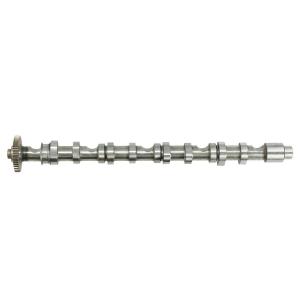 China 03L109022D Engine Parts Camshaft for AUDI A5, VW MULTIVAN, SEAT ALTEA (5P1) factory
