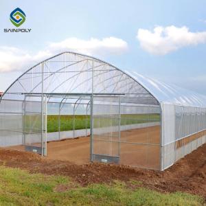 China 0.5KN/M2 Clear Polythene 4m Single Tunnel Greenhouse factory