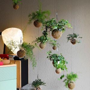 China Anti Aging Artificial Potted Plants Green Leaf Bar Music Restaurant Hanging Window Ceiling factory