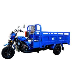 China Versatile Motorized Tricycles Cargo Part Passenger Tricycle for Various Applications factory