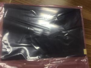 China High Brightness AUO LCD Panel G101UAN02.0 Without Touchscreen factory