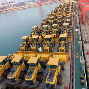 China Container / RORO / Bulk Sea Freight International Shipping China To Ghana For Oversized Cargo factory