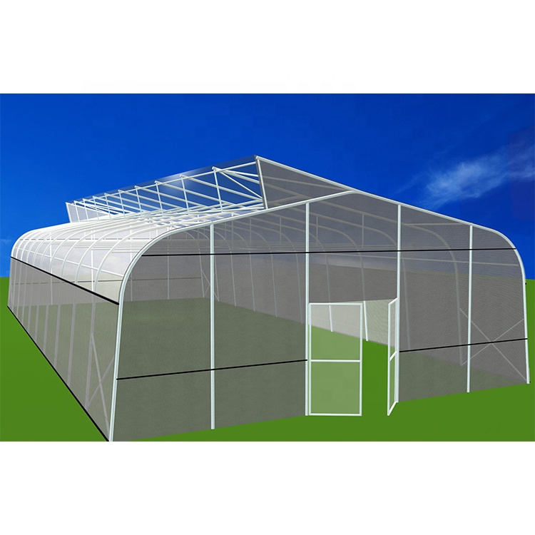 Close-up of greenhouse structural details