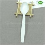 Disposable Bioplastic Spoon Made From Corn Starch-Biodegradable Products Perfect