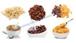 200-250kg/h Capacity Snack Food Making Machine for Breakfast Cereal Corn Flakes