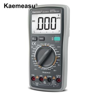 China 1000V Voltage Meters Multimetro Profesional Electrician Dattery Voltage Meter Resistor Tester Smart Digital Multimeter factory