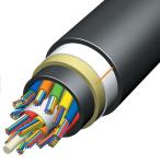 24 Core SM G652D ADSS Overhead Fiber Optic Cable