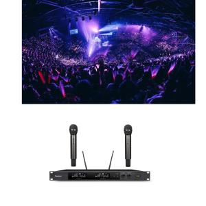 China UHF Cordless Dynamic Handheld Microphone System For Home Karaoke factory