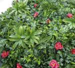 Boxwood Foliage Garden Hedge Artificial Green Walls