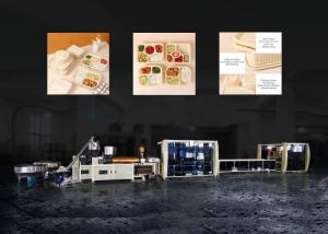 China Disposable Plastic Food Container Making Machine Full Automatic 60 Mode Min factory