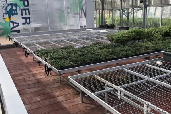 Flower Growing Greenhouse Rolling Bench System Galvanized Nursery Bench