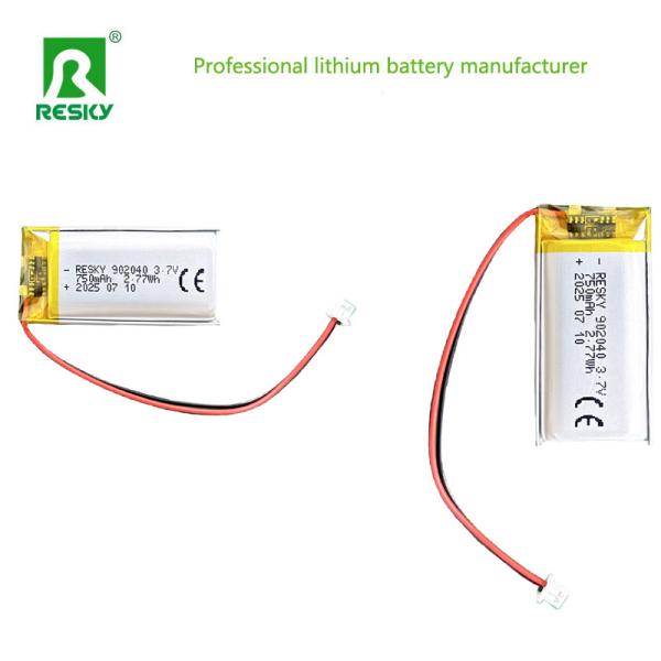 Lithium Polymer Battery Cell side view