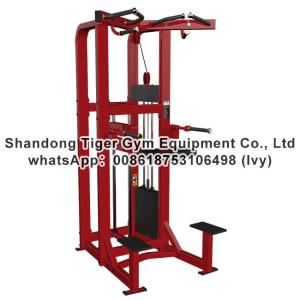 China Single Station Gym fitness equipment machine Assist Dip Chin exercise machine factory