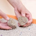 Hard Clumping Bentonite Cat Litter Lightweight Bentonite Kitty Litter