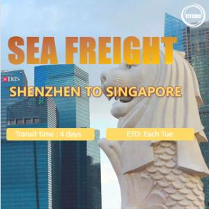China International Sea Freight from Shenzhen to Singapore Port to Port factory