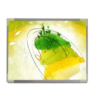 China 30 pins Connector M170EG01 V8 LCD Display Screen for AUO factory