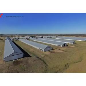 Fully Automatic Galvanized Poultry Farm Layer Cage with Feeding System